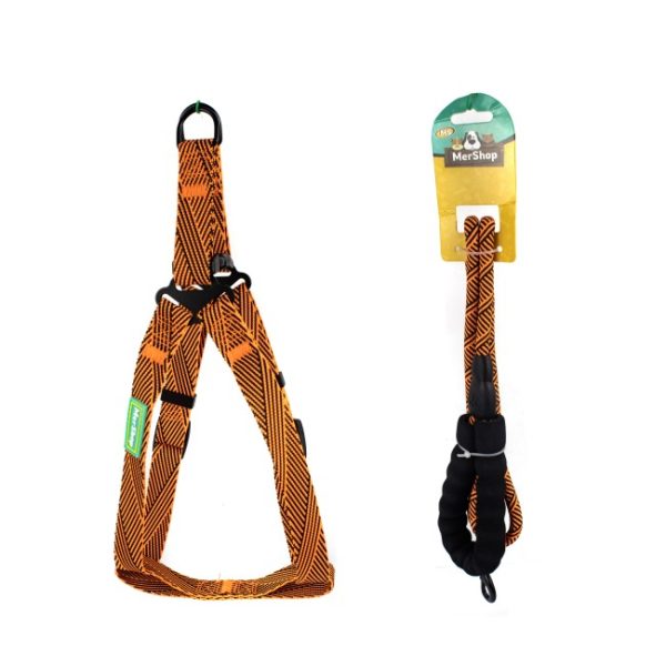 00873_1-1.jpg 00873_1-1.jpg