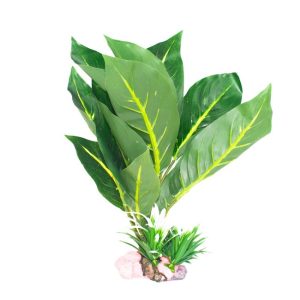 Planta  Decorativa Acuario