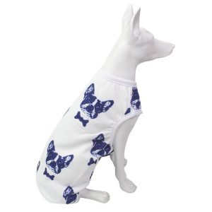 Esqueleto Para Mascotas