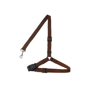 Correa De Seguidad Para Mascotas