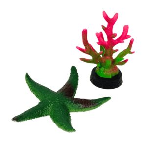 Decoración Coral Y Estrella De Mar