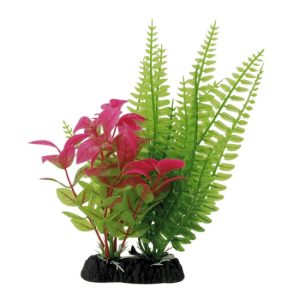 Acuario Planta Decoración