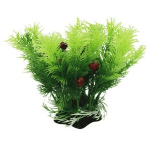 Acuario Decoracion Planta