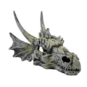 Decoración Cabeza De Dragón