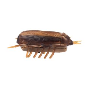 Juguete Interactivo Cucaracha Para Mascotas