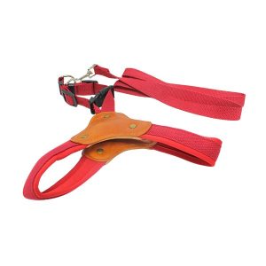 Arnes Tipo Y Para Mascotas