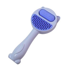 Cepillo Con Tanque De Agua