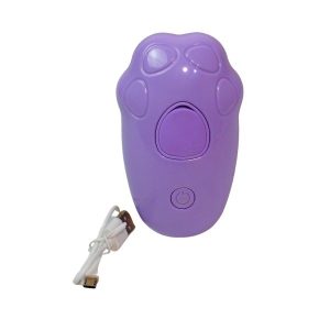 Cepillo A Vapor Patita