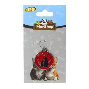 Placa Identificación