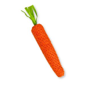 Juguete Zanahoria