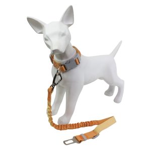 Collar Con Correa Para Carro