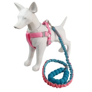 Arnés Con Correa Resortada