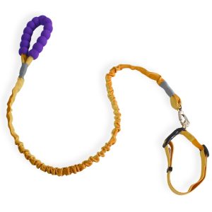 Collar Con Correa Resortada