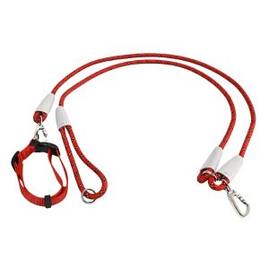 Collar Con Correa Ajustable