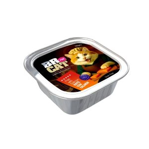 Br For Cat Pate Con Salmon X 100Gr
