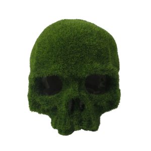 Decoración Calavera Musgosa
