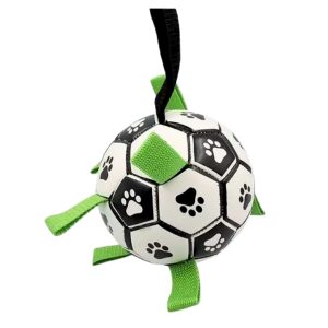 Balón Interactivo Para Mascotas