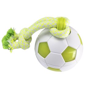 Pelota Interactiva