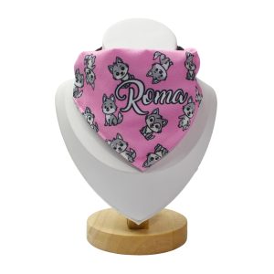 Collar Con Pañoleta Pequeña Roma