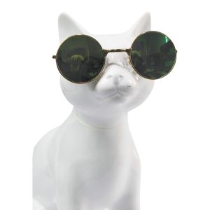 Gafas Para Mascotas